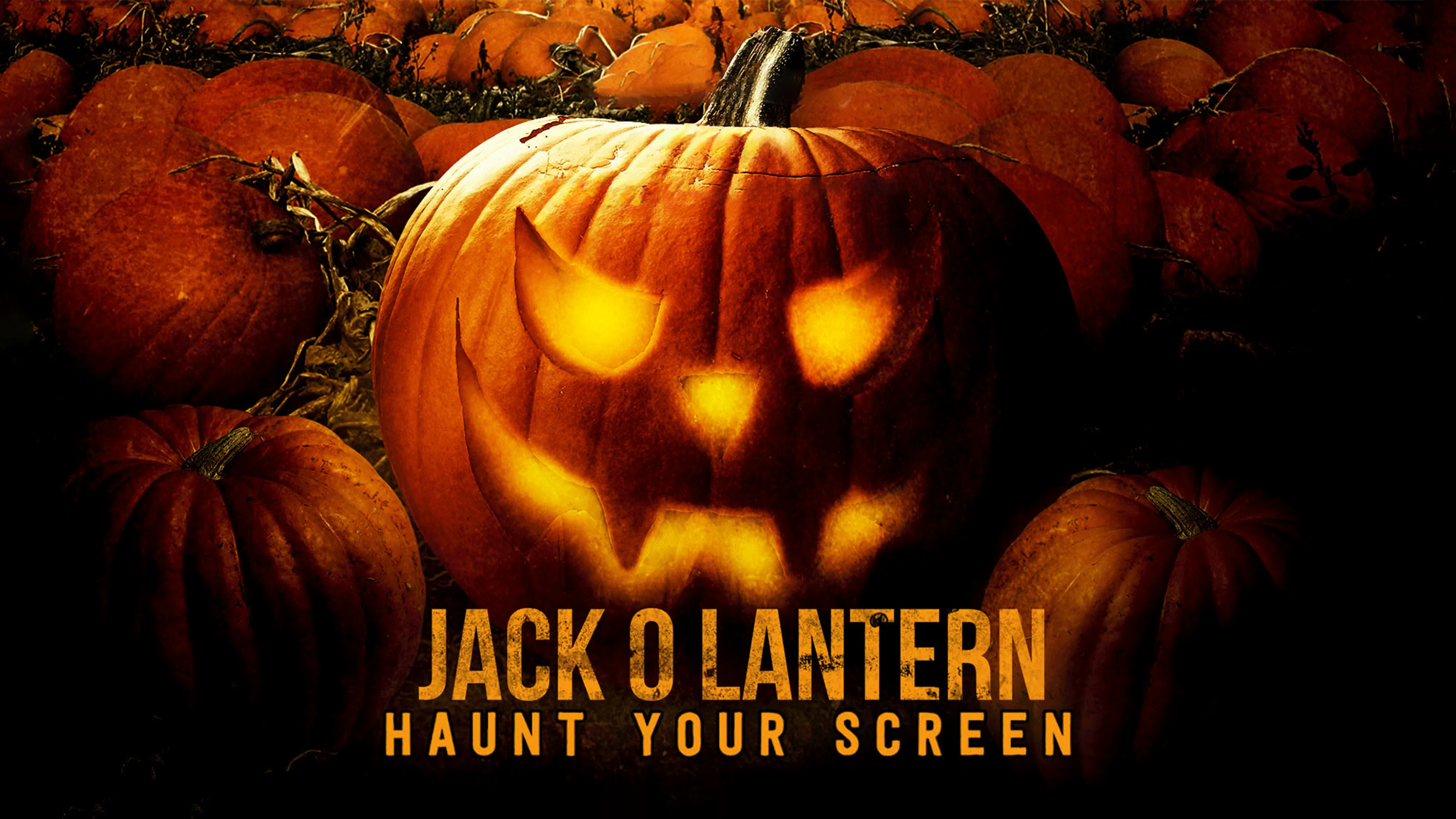 Jack O Lantern Haunt Your Screen poster